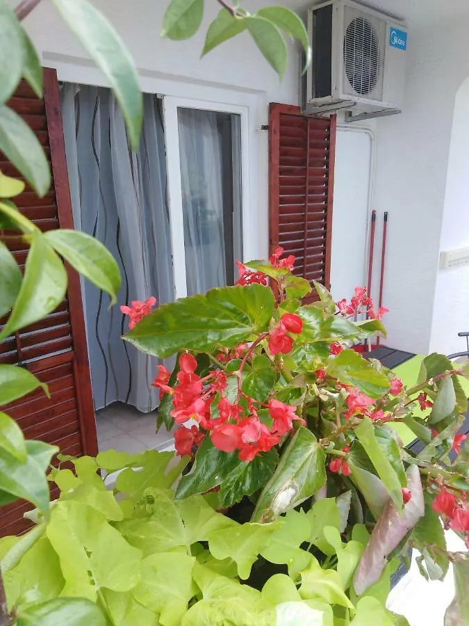 Apartman Hortensia Kids Friendly Apartment Tar-Vabriga 0*,